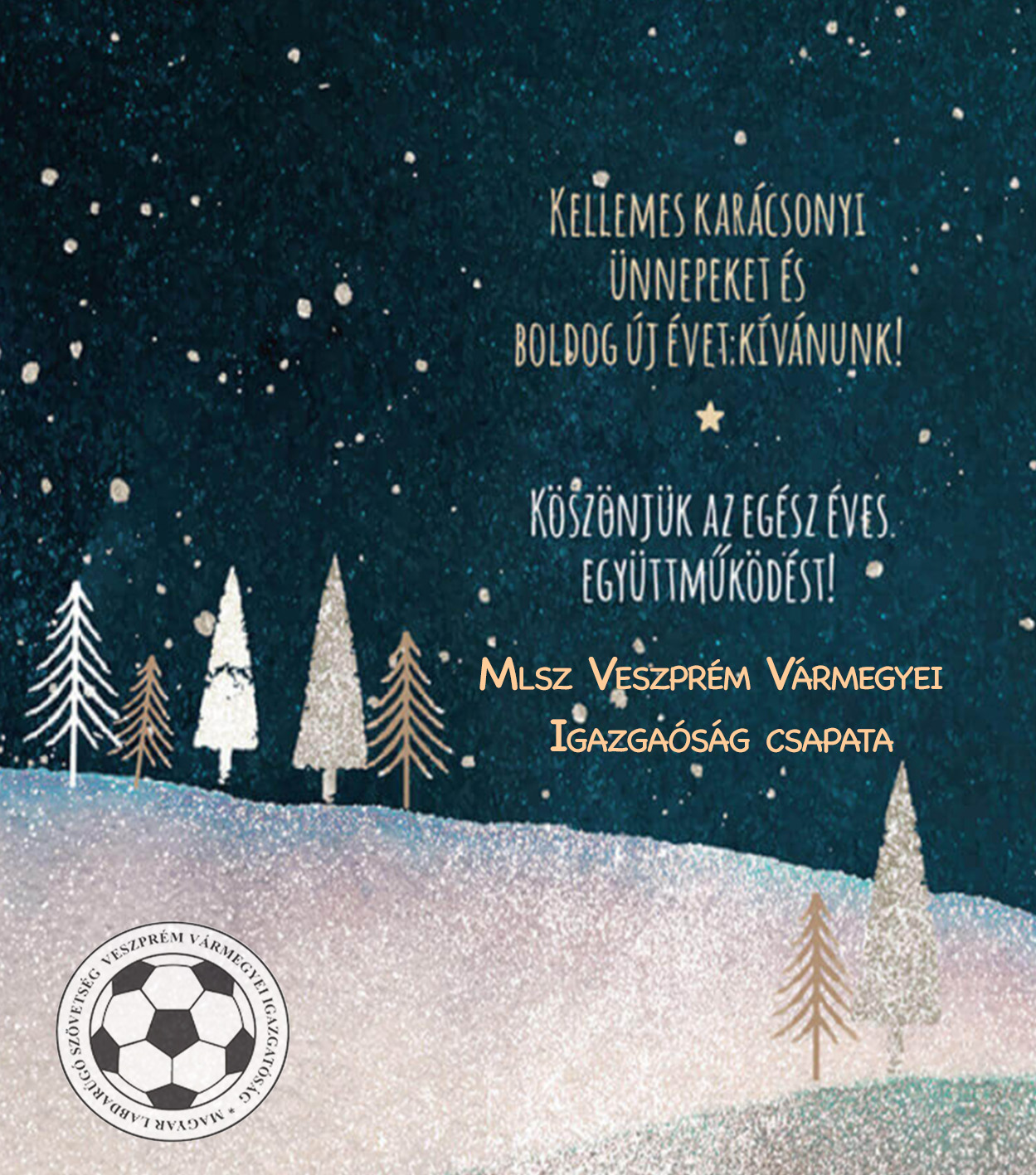 Kellemes Ünnepeket kíván az MLSZ Veszprém Vármegyei Igazgatóság 
